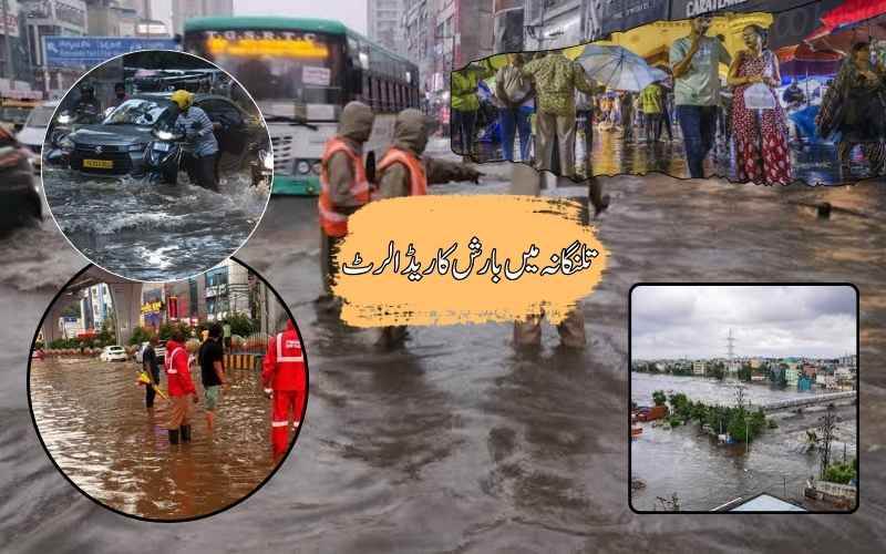 موسلا دھار بارش کی وجہ سےشمالی تلنگانہ کے بیشتر اضلاع میں اسکولزکو تعطیل